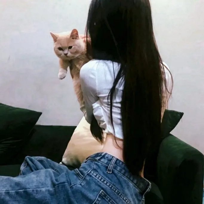 猪2021