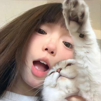 迷失的大洲